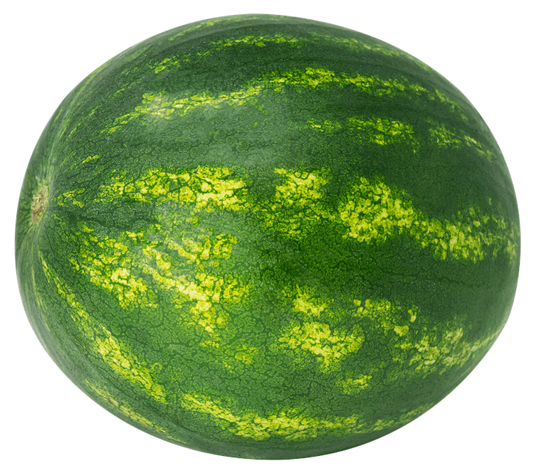 Watermelon Whole