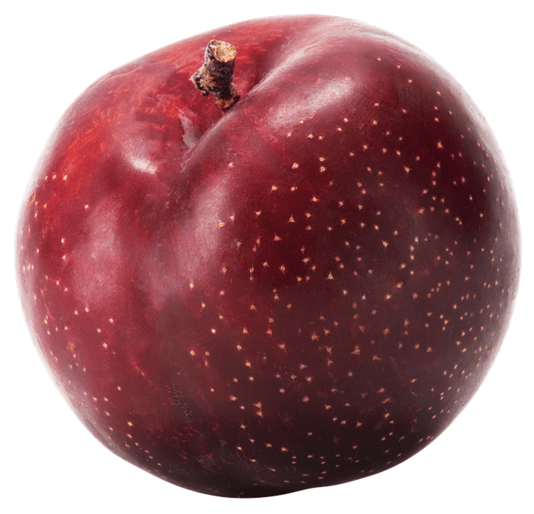 Plum Whole