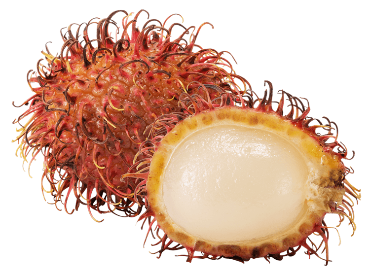 Rambutan Grouping