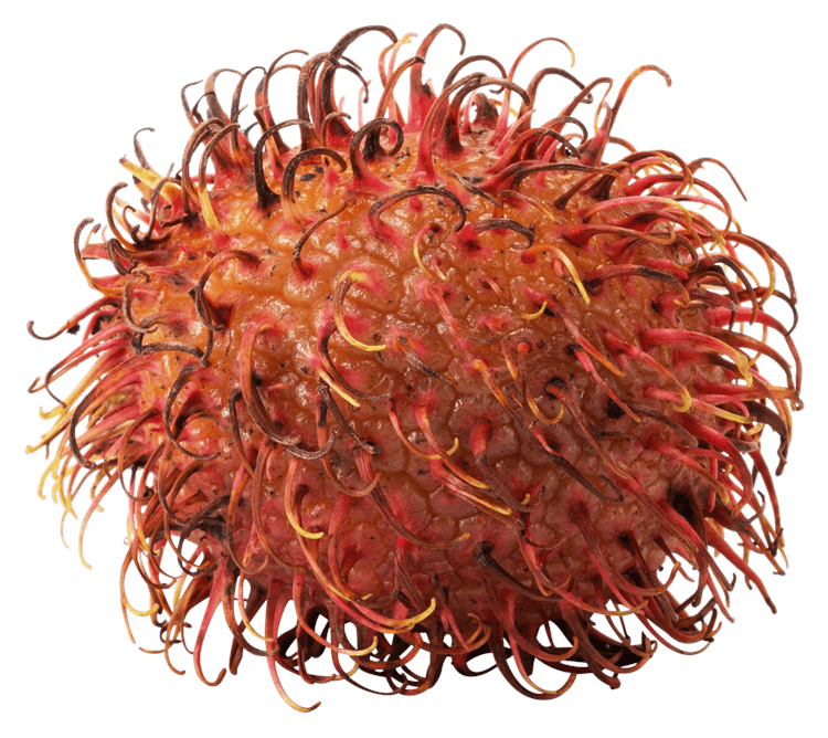 Rambutan Whole