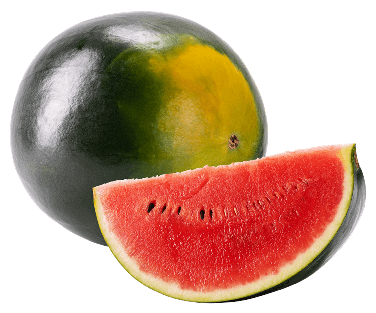 Watermelon Whole Slice 2