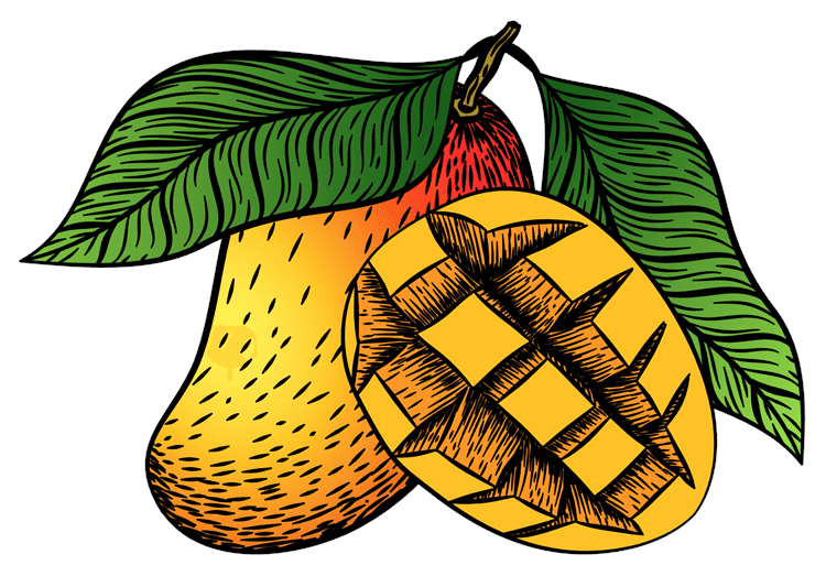 Mango Illustration