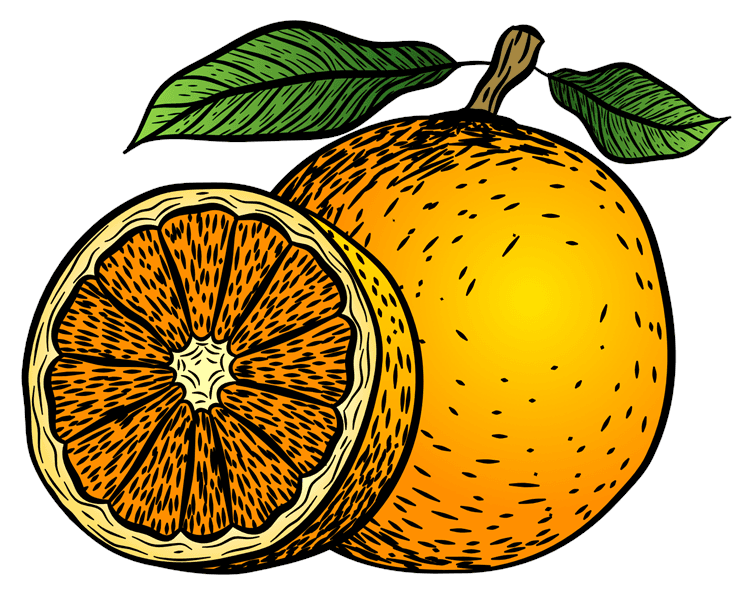 Orange Illustration
