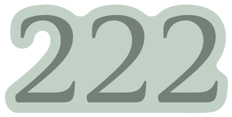 222 angel number