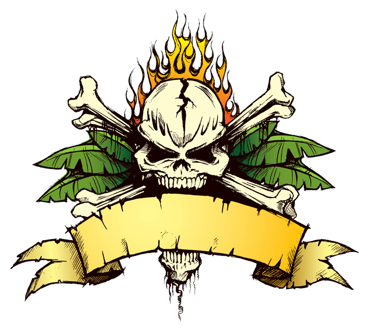 Flaming Skull Crossbones Banner