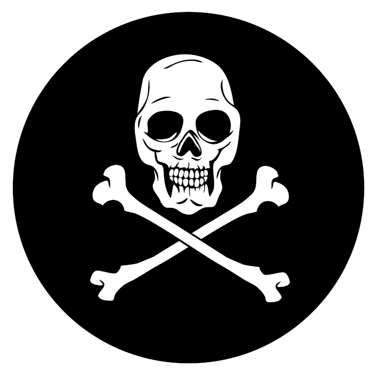 Jolly Roger Skull Crossbones