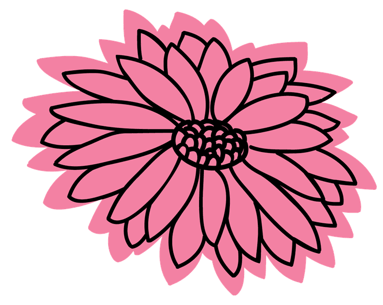 Pink Petalled Flower
