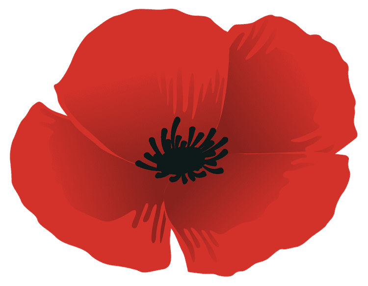 Poppy Flower Graphic
