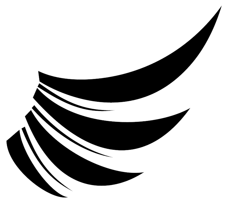 Stylized Angel Wings 5