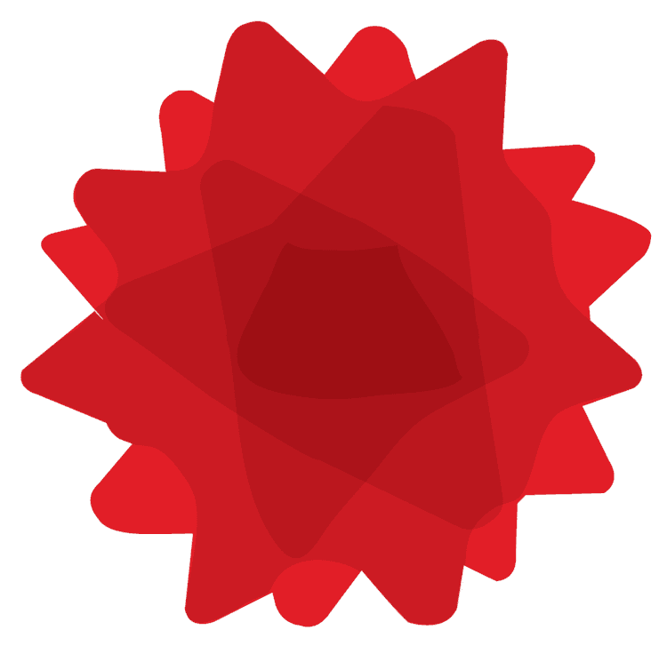 Christmas Flower Ribbon