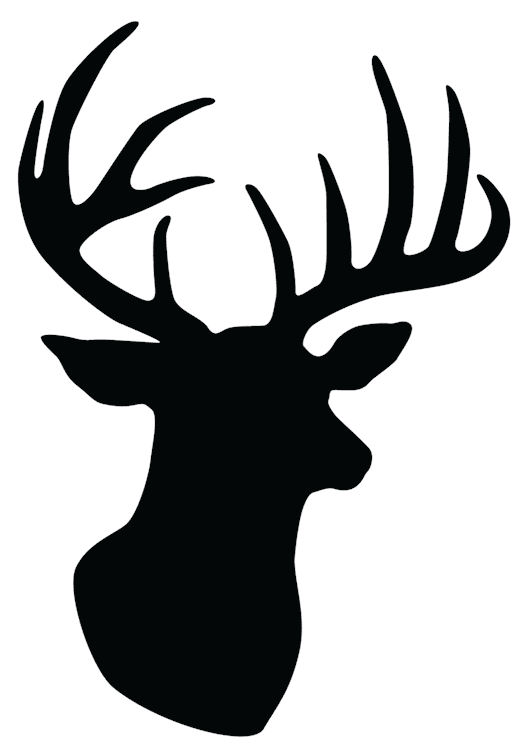 Deer Head