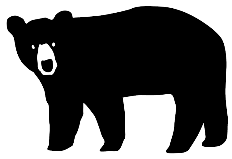 Black Bear Silhouette