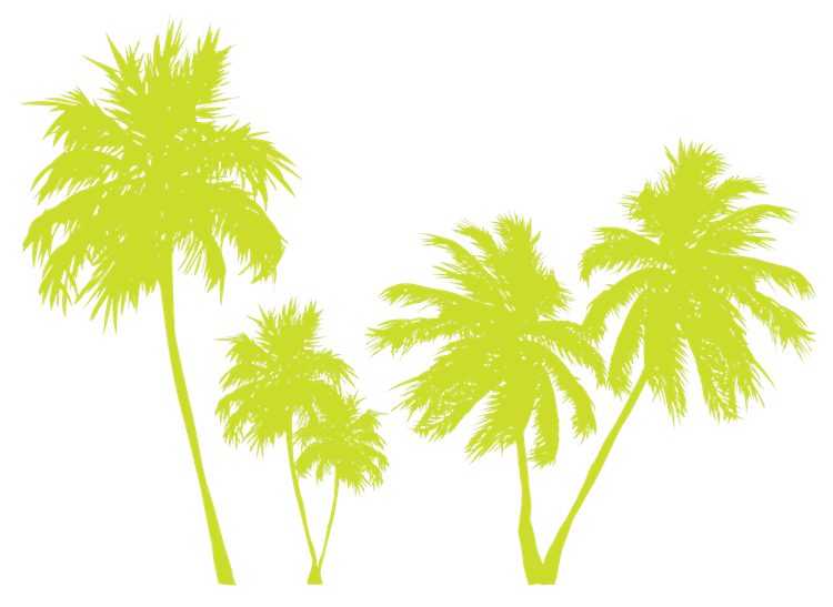 palmtrees