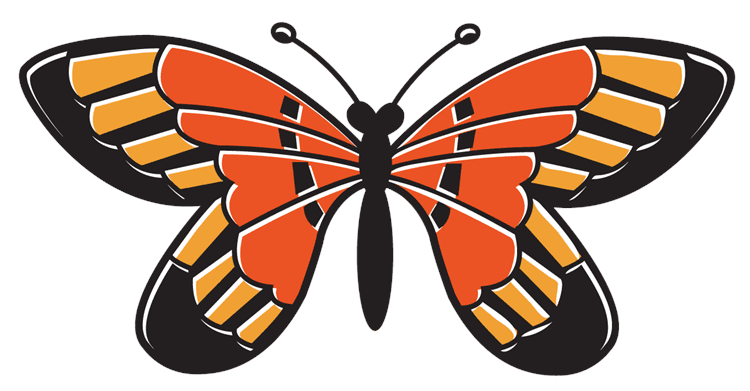 Aesthetic Monarch Butterfly
